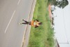 Run Gabon